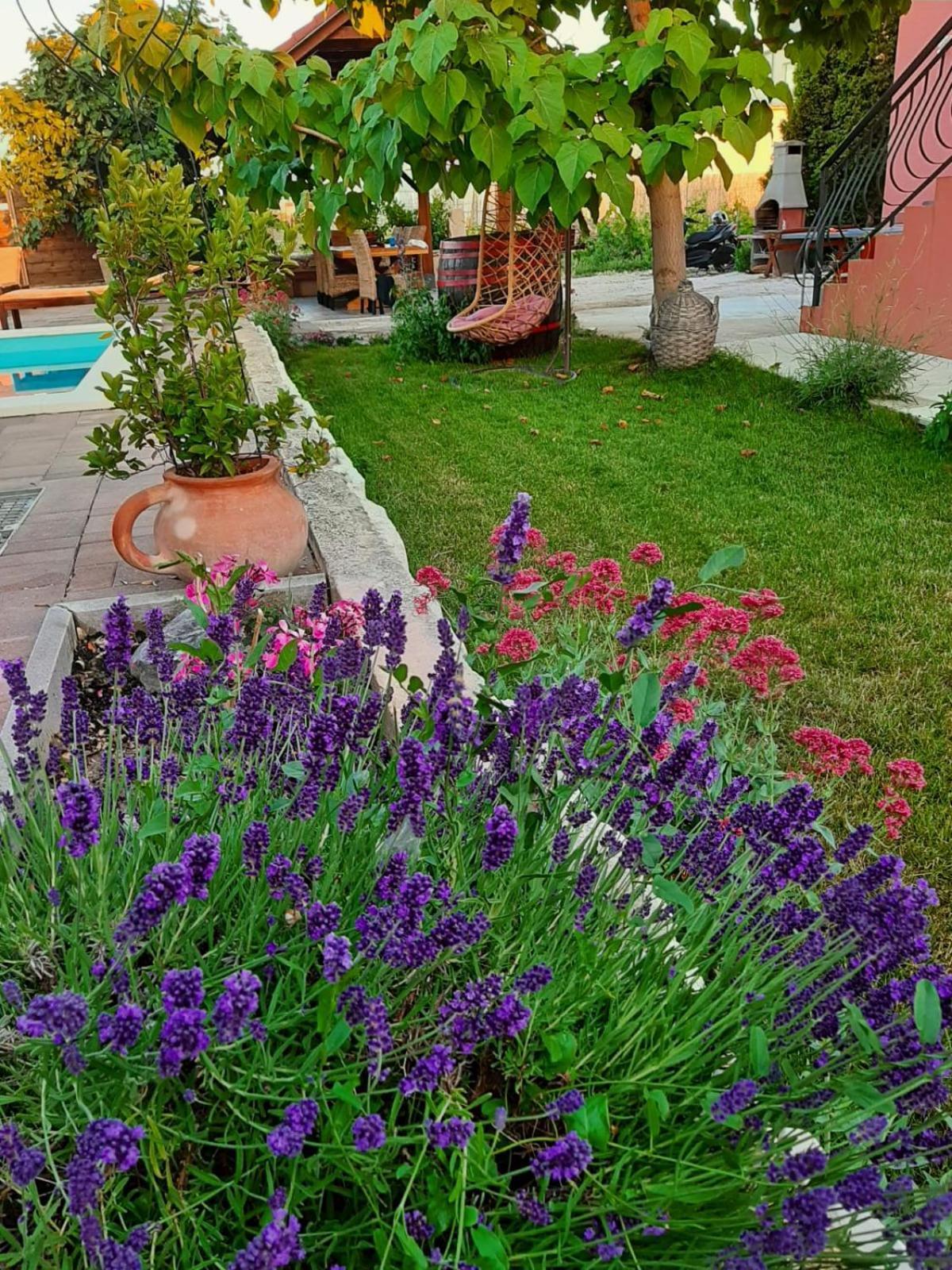 Apartment Smilje Šibenik Exterior foto